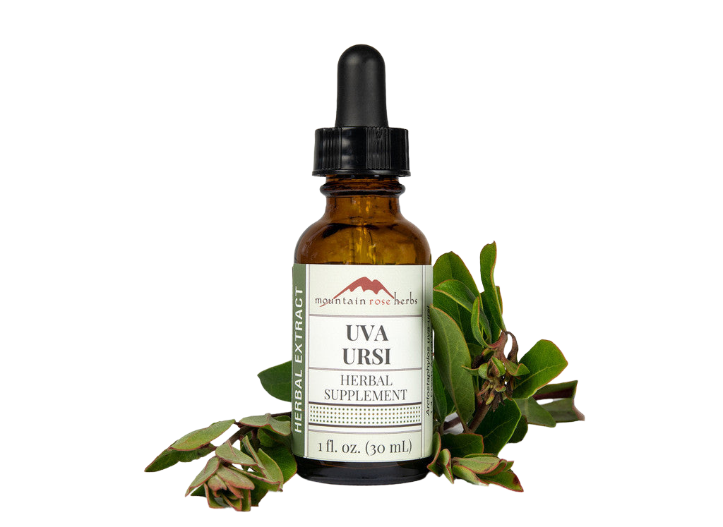 Uva Ursi Extract